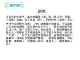 部编版九年级语文上册《水调歌头》PPT课件 (8)