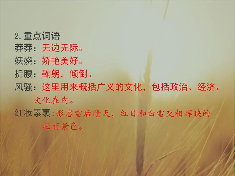 部编版九年级语文上册《沁园春·雪》PPT课文课件 (1)07