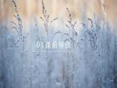 部编版九年级语文上册《沁园春·雪》PPT课文课件 (5)