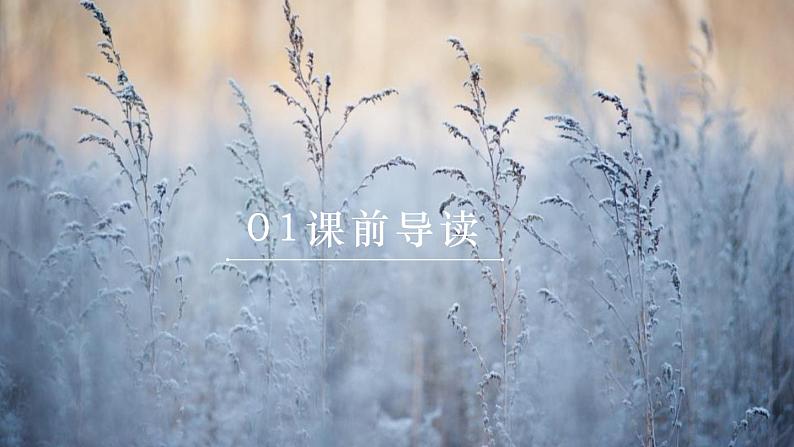 部编版九年级语文上册《沁园春·雪》PPT课文课件 (5)03