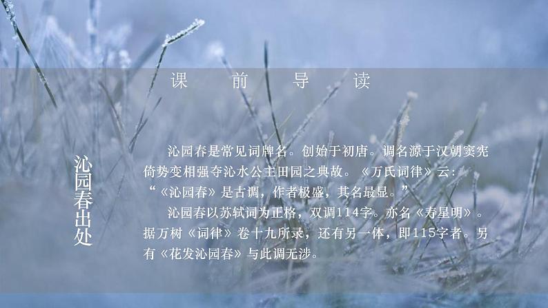 部编版九年级语文上册《沁园春·雪》PPT课文课件 (5)06