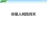 部编版九年级语文上册《你是人间的四月天》PPT优质课件 (8)