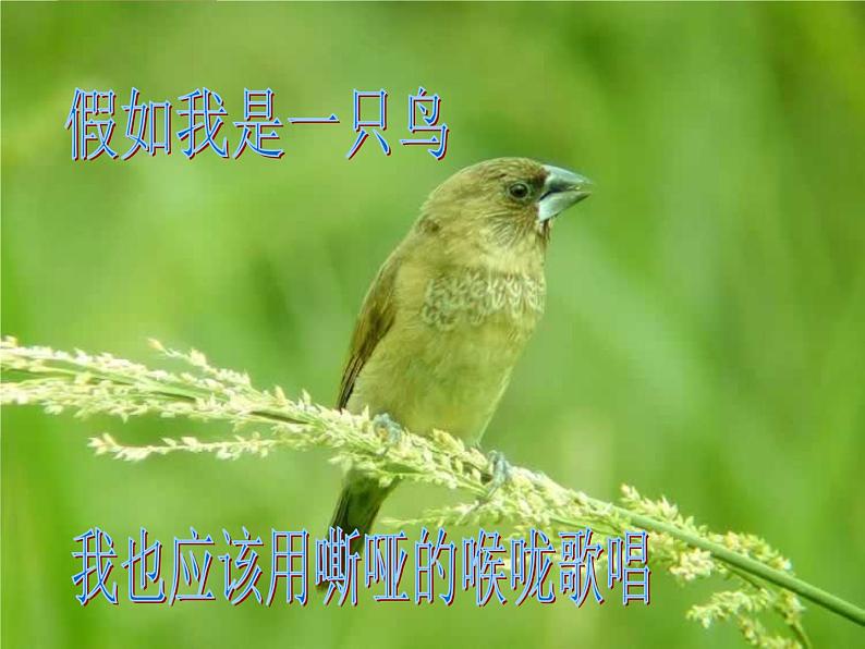 部编版九年级语文上册《我爱这土地》PPT课文课件 (10)第7页