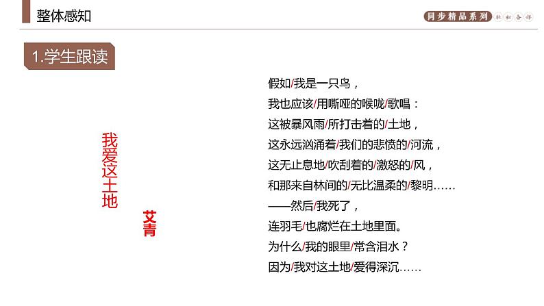 部编版九年级语文上册《我爱这土地》PPT课文课件 (3)第7页