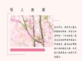 部编版九年级语文上册《我看》PPT优秀课件 (2)