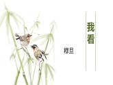 部编版九年级语文上册《我看》PPT课件 (11)