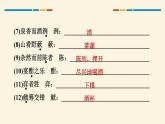 部编版九年级语文上册《醉翁亭记》PPT课件 (6)