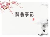 部编版九年级语文上册《醉翁亭记》PPT课件 (4)