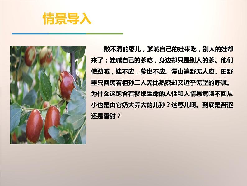 部编版九年级语文下册《枣儿》PPT优秀课件 (9)第2页