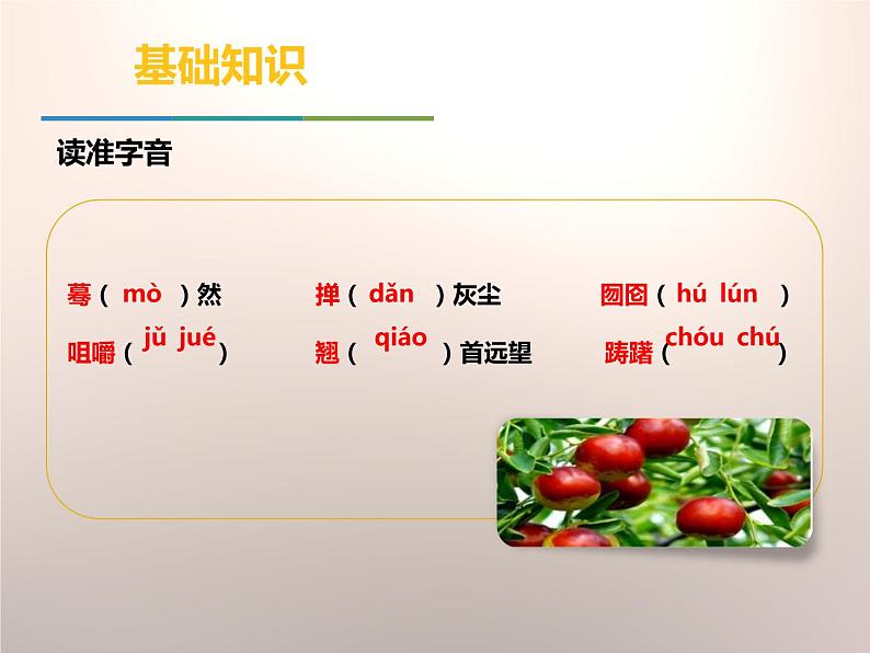 部编版九年级语文下册《枣儿》PPT优秀课件 (9)第6页
