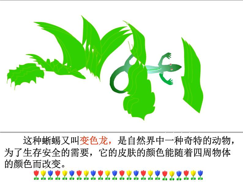 部编版九年级语文下册《变色龙》PPT课件 (7)05