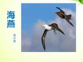 部编版九年级语文下册《海燕》PPT (1)