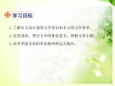 部编版九年级语文下册《海燕》PPT (1)