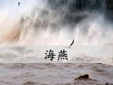部编版九年级语文下册《海燕》PPT (4)
