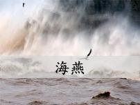 初中语文人教部编版九年级下册4 海燕课文配套课件ppt