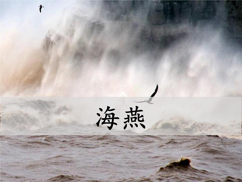 部编版九年级语文下册《海燕》PPT (4)第1页