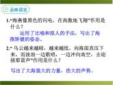 部编版九年级语文下册《海燕》PPT (4)