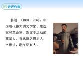 部编版九年级语文下册《孔乙己》PPT课件 (3)