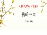 部编版九年级语文下册《梅岭三章》PPT课文课件 (10)