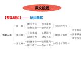 部编版九年级语文下册《梅岭三章》PPT课文课件 (5)
