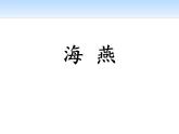 部编版九年级语文下册《海燕》PPT (2)