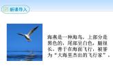 部编版九年级语文下册《海燕》PPT (2)