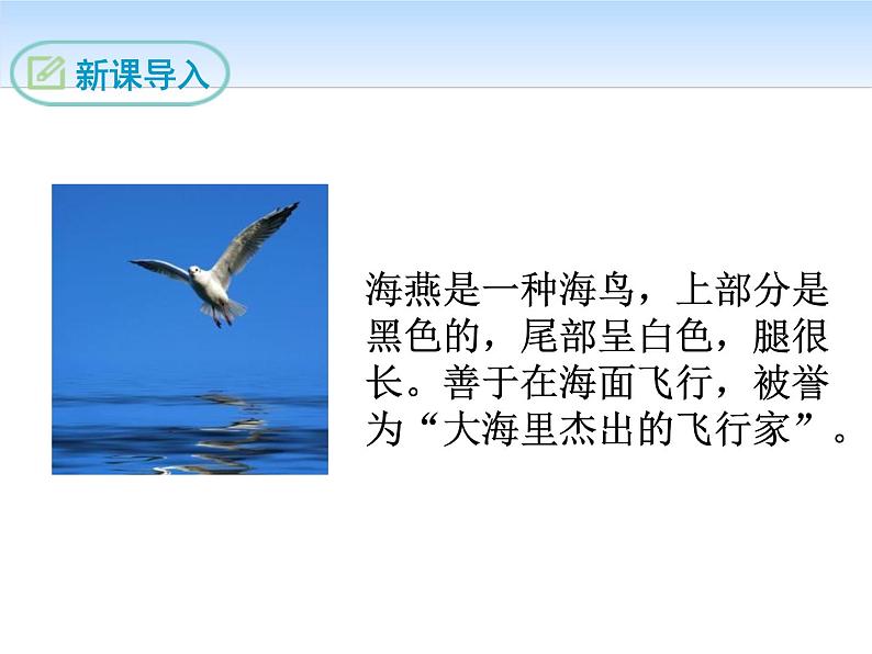 部编版九年级语文下册《海燕》PPT (2)03