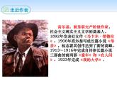 部编版九年级语文下册《海燕》PPT (2)