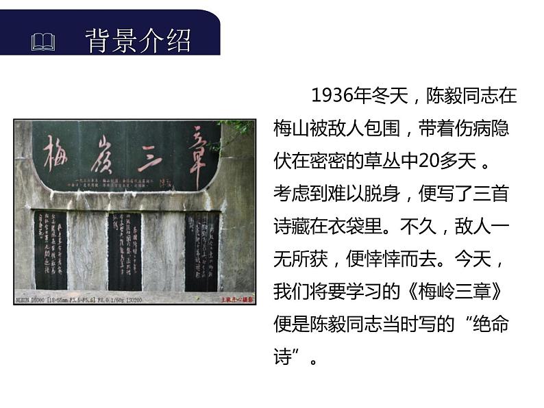 部编版九年级语文下册《梅岭三章》PPT课文课件 (2)第2页