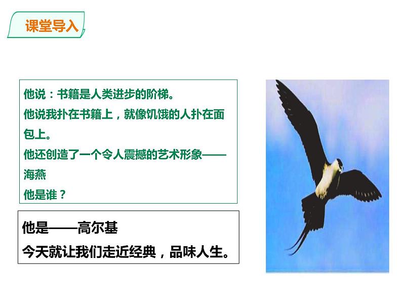 部编版九年级语文下册《海燕》PPT (5)02