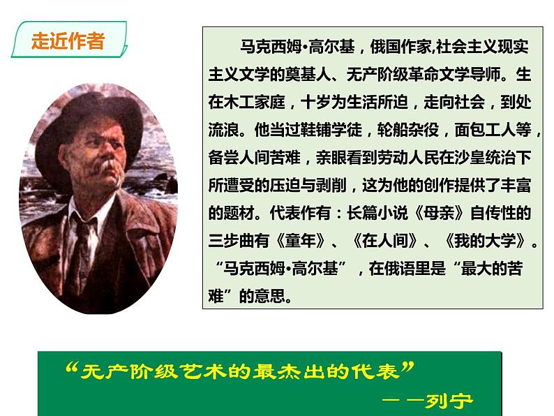 部编版九年级语文下册《海燕》PPT (5)03