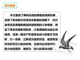 部编版九年级语文下册《海燕》PPT (5)