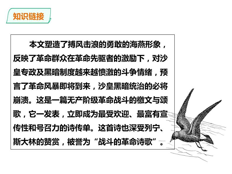部编版九年级语文下册《海燕》PPT (5)05