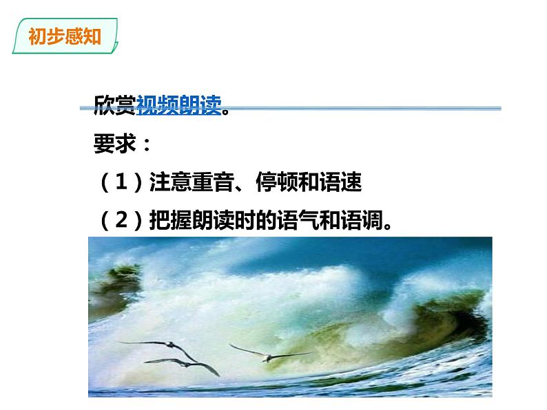 部编版九年级语文下册《海燕》PPT (5)06
