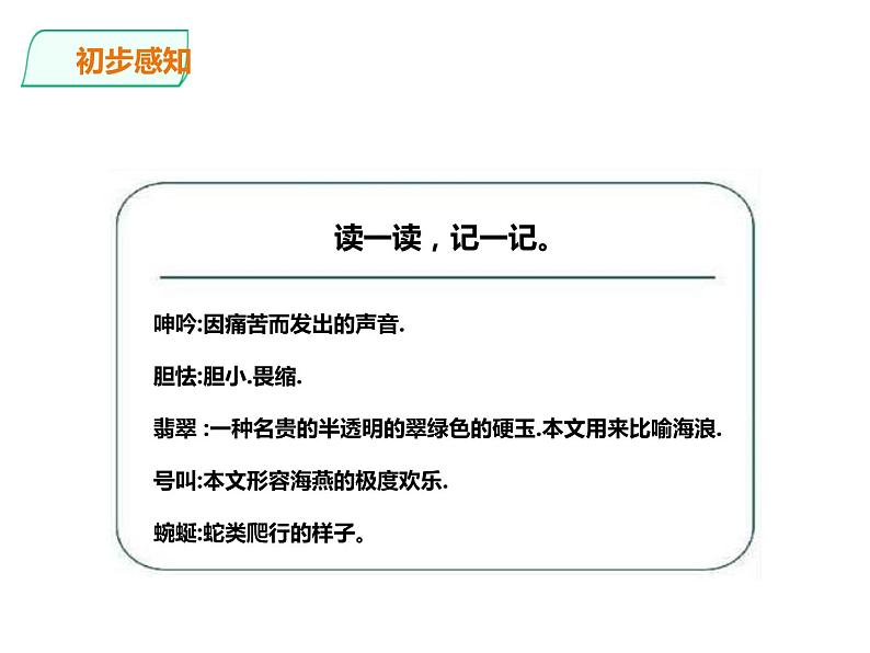 部编版九年级语文下册《海燕》PPT (5)08