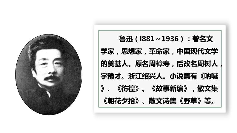 部编版九年级语文上册《故乡》PPT课文课件 (12)第4页