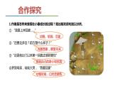 部编版九年级语文上册《孤独之旅》PPT精品课件 (3)