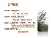 部编版九年级语文上册《孤独之旅》PPT精品课件 (3)