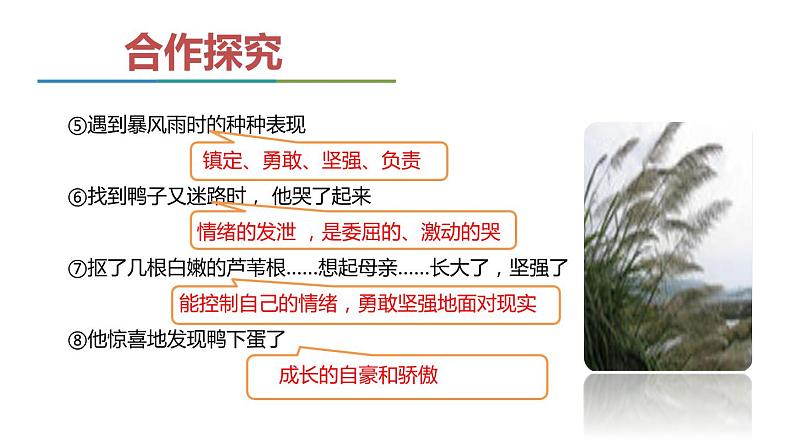 部编版九年级语文上册《孤独之旅》PPT精品课件 (3)05