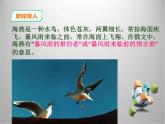 部编版九年级语文下册《海燕》PPT (3)