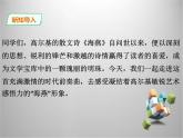 部编版九年级语文下册《海燕》PPT (3)