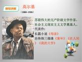 部编版九年级语文下册《海燕》PPT (3)