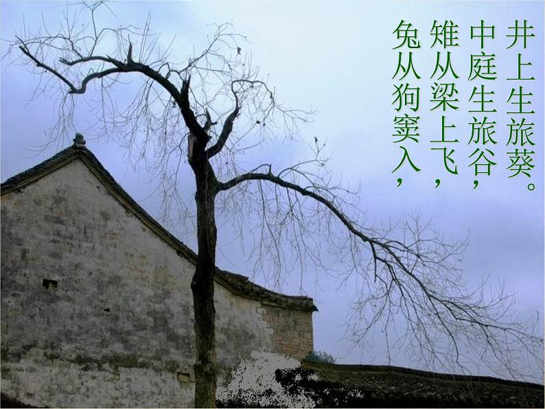 部编版九年级语文下册《十五从军征》PPT精品课件 (5)04