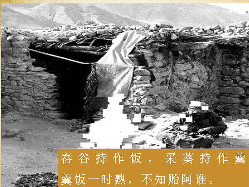 部编版九年级语文下册《十五从军征》PPT精品课件 (5)05