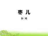 部编版九年级语文下册《枣儿》PPT优秀课件 (2)