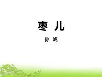初中语文人教部编版九年级下册19 枣儿教案配套ppt课件