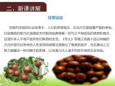 部编版九年级语文下册《枣儿》PPT优秀课件 (2)