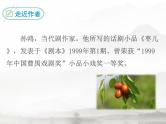 部编版九年级语文下册《枣儿》PPT优秀课件 (4)