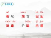 部编版九年级语文下册《枣儿》PPT优秀课件 (4)