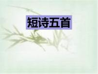 初中语文人教部编版九年级下册1 祖国啊，我亲爱的祖国课文配套ppt课件
